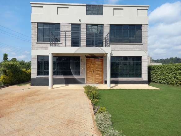 Modern flat roof house in a gated community