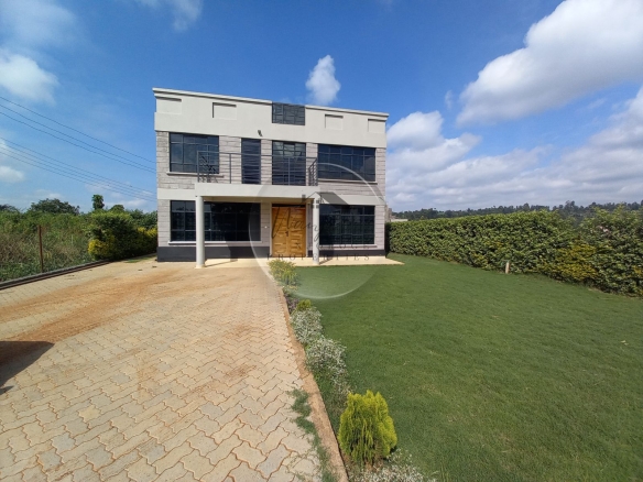 Modern flat roof house in a gated community